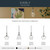 Everly One Light Pendant (42199OZCS)