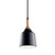Danika One Light Mini Pendant (43682BK)