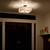Shailene Three Light Semi Flush Mount (43693BK)