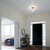 manufacturer_finish:Brushed Nickel