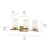 Crosby Three Light Bath (45497NBR)