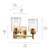 Shailene Two Light Bath (45573NBRCLR)