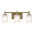 Shailene Three Light Bath (45574NBR)