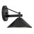 Ripley One Light Outdoor Wall Mount (49059BK)