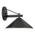 Ripley One Light Outdoor Wall Mount (49061BK)