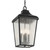 Forestdale Four Light Outdoor Pendant (49740BKT)