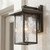 Capanna One Light Outdoor Wall Mount (49924OZ)