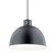 Zailey One Light Pendant (52153BK)