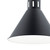 Zailey One Light Pendant (52176BK)