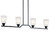 Skagos Four Light Linear Chandelier (52233BK)