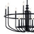 Capitol Hill 12 Light Chandelier (52305BK)