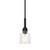 Aivian One Light Mini Pendant (52399BK)