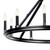 Emmala Ten Light Chandelier (52421BK)
