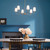 Pallas Six Light Chandelier (52516BNB)