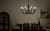 Odensa Ten Light Chandelier (52551BK)