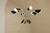 Arcus Six Light Chandelier (52559SN)