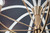 Petal Five Light Chandelier (52572CPZ)