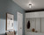 Brit One Light Flush Mount (52596BKCPZ)