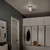 Brit One Light Flush Mount (52596PN)