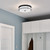 Brit Four Light Flush Mount (52597BKCPZ)