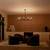 Erzo Ten Light Chandelier (52613BK)