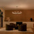 Erzo Ten Light Chandelier (52613SN)