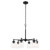 Winslow Six Light Chandelier (52616BK)