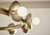 Palta 15 Light Chandelier (52644CPZ)