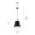 Etcher One Light Pendant (52710BK)
