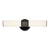 Sashi LED Bath Bar (55191BKLED)