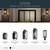 Goson One Light Outdoor Wall Mount (59085BK)