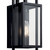Goson One Light Outdoor Wall Mount (59086BK)
