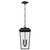 Mathus Two Light Outdoor Pendant (59122BKT)
