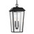 Mathus Two Light Outdoor Pendant (59122BKT)