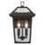 Regence Two Light Outdoor Wall Mount (59125OZ)