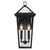 Regence Two Light Outdoor Wall Mount (59126BKT)