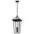 Regence Two Light Outdoor Pendant (59130BKT)