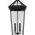 Regence Two Light Outdoor Pendant (59130BKT)