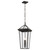 Regence Two Light Outdoor Pendant (59130OZ)