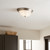 manufacturer_finish:Brushed Nickel