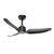 manufacturer_finish:Brushed Gold/Matte Black