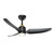 manufacturer_finish:Brushed Gold/Matte Black