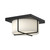 manufacturer_finish:Black/Opal Glass