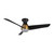 manufacturer_finish:Brushed Gold/Matte Black
