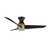 manufacturer_finish:Brushed Gold/Matte Black