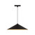 manufacturer_finish:Black|color_temperature:4000K