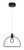 Edison's Outline LED Pendant (P1903-66A-L)