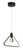 Edison's Outline LED Pendant (P1905-66A-L)
