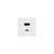 adorne Ultra-Fast USB Type-A/C Outlet Module (ARUSB2AC6W4)