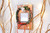 adorne 20A Paddle Switch with Microban (ASPD2032W4)